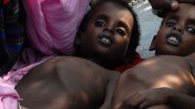 60 طنا من المواد الغذائية في قافلة تضامنية لمساعدة ضحايا الصومال