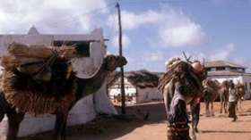 مبعوث أممي: الصومال أصبح مقبرة للنفايات النووية