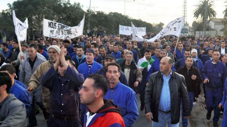 “ركايب” الجزائريين!