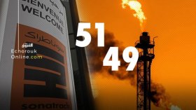 الحكومة تعوض الإبقاء على قاعدة 51/49 بتسهيلات ضريبية وجمركية!