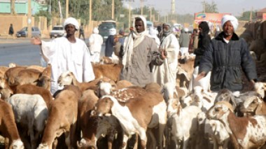 Sudanese ambassador angry after officialâ€™s declarations