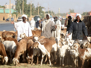 Sudanese ambassador angry after officialâ€™s declarations