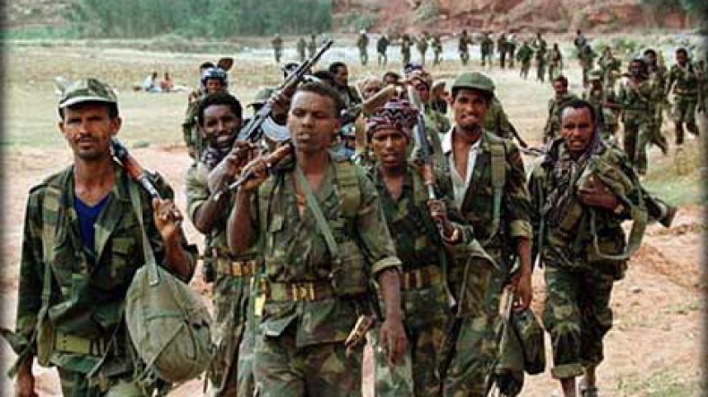 الجيش السوداني يقتل 30 متمردا في إقليم دارفور