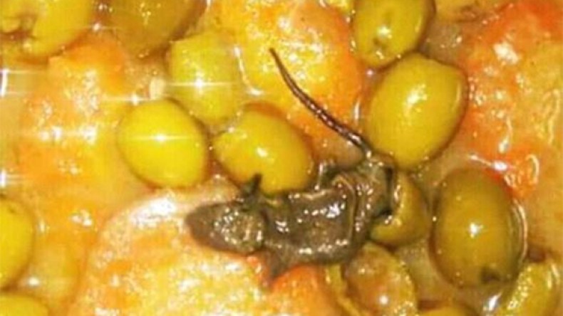 وجبة بالفئران!