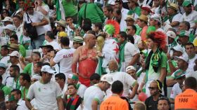 تألق “المحاربين” يفسد حسابات المشجعين المغتربين