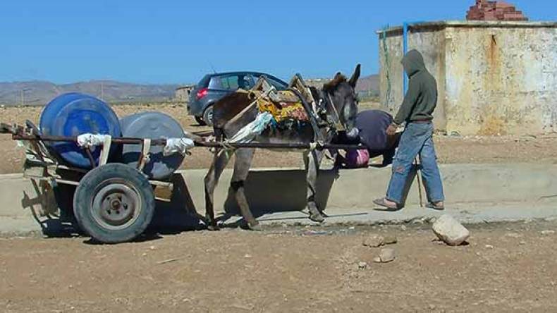 العطش يلاحق سكان قرى بلدية أولاد أحمد تيمي بأدرار