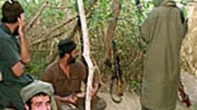 النيران تلتهم معاقل الجماعة السلفية بتبسة