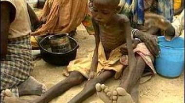 Corne de l'Afrique: les donateurs internationaux sollicités en urgence pour éviter une crise alimentaire