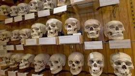 “أعيدوا لنا جماجم الشهداء وافتحوا الأرشيف المُصادر للمؤرخين”