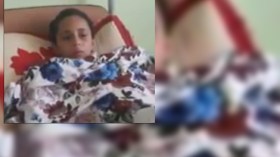 نمر ينقضّ على طفلة بحديقة الحيوانات في مستغانم