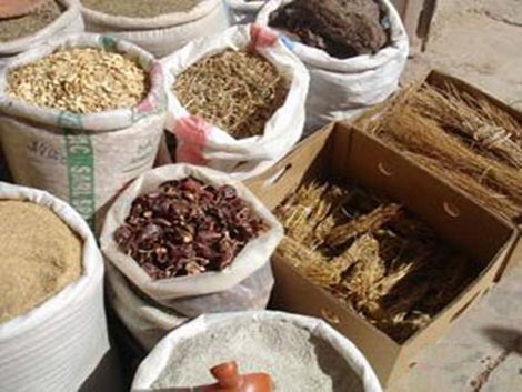 Candidates for 10 May Elections become addicted to stimulants to resist fatigue