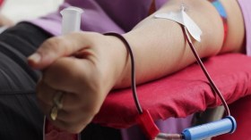 “شكرا لإنقاذكم حياتي” شعار اليوم العالمي للتبرع بالدم