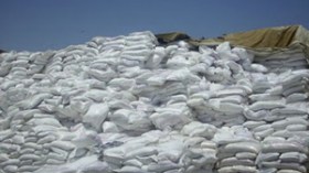 شركات استيراد وإنتاج السكر تنهب جيوب الجزائريين