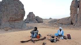 الجنوب الجزائري أكبر من الصراصير والعقارب