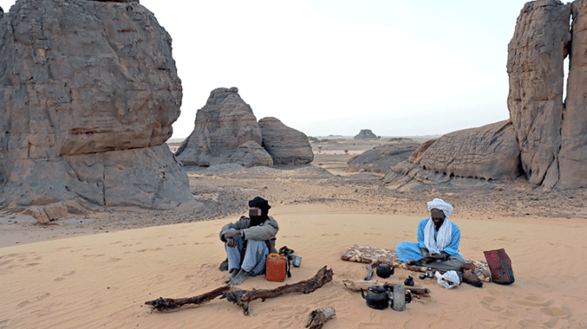 الجنوب الجزائري أكبر من الصراصير والعقارب