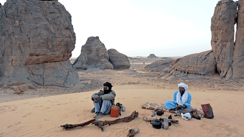 الجنوب الجزائري أكبر من الصراصير والعقارب