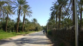 فلاحون من أولاد جلال يستغلون أراض بإقليم مقاطعة المغير