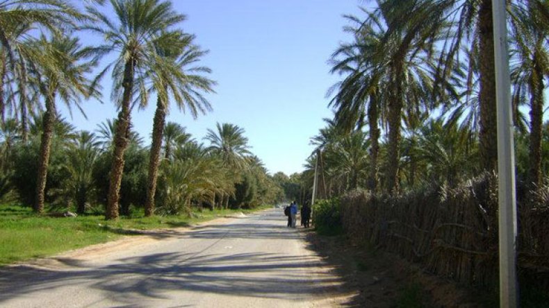 فلاحون من أولاد جلال يستغلون أراض بإقليم مقاطعة المغير