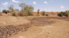 أشد موجة جفاف تضرب جنوب إفريقيا منذ أكثر من قرن