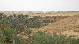 الأمن‮ ‬يحقق‮ ‬في‮ ‬تبديد‮ ‬250‮ ‬مليار‮ ‬بالجنوب