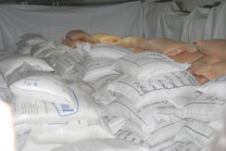 Moroccan sugar is imported from Israel and smuggled to Algeria