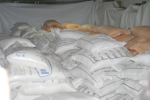 Importers to sell sugar at auction in Algeria