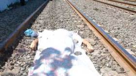 إطارات دولة ومحامون وأطباء يتزاحمون في طابور الإنتحار