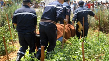 Un sexagénaire se pend en public à Alger !