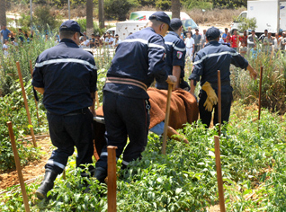 Un sexagénaire se pend en public à Alger !