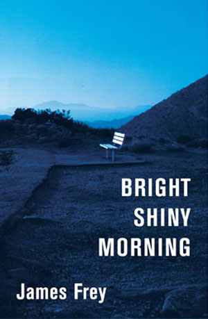 Summer book/”Bright Shiny Morning”