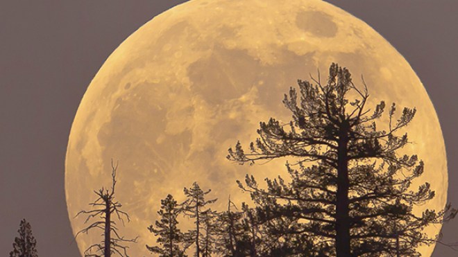 “Supermoon” يضيء سماء العالم.. ويحتجب عن معظم الجزائريين بسبب الغيوم..!