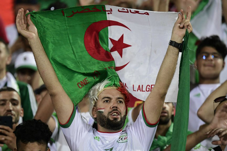 Six avions militaires pour transporter les supporters algériens en Égypte