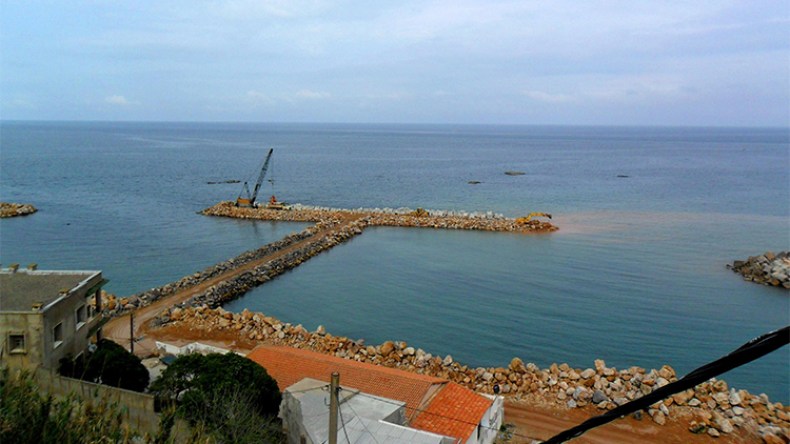 شعاب اصطناعية تسهم في عودة التنوع البيولوجي بسواحل العاصمة