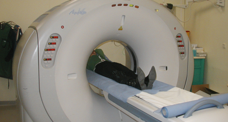 Imagerie médicale : place “de plus en plus importante” pour le diagnostic du cancer du sein