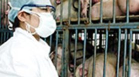 Saidal accuses Ministry of Health of obstructing production of anti-swine flu vaccine