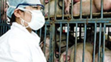 Saidal accuses Ministry of Health of obstructing production of anti-swine flu vaccine