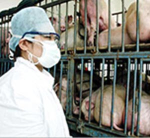 Saidal accuses Ministry of Health of obstructing production of anti-swine flu vaccine