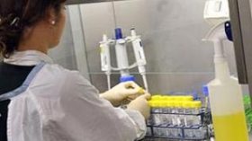 Commandos of doctors to detect H1N1 flu in Algeria