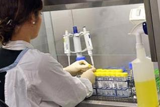 Commandos of doctors to detect H1N1 flu in Algeria