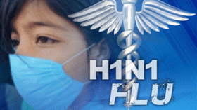 Swine flu cases rise to 27 in Algeria