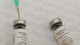 The Ministry of Health: 650 thousand pregnant women to take the swine flu vaccine