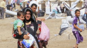 معاملة الحيوانات