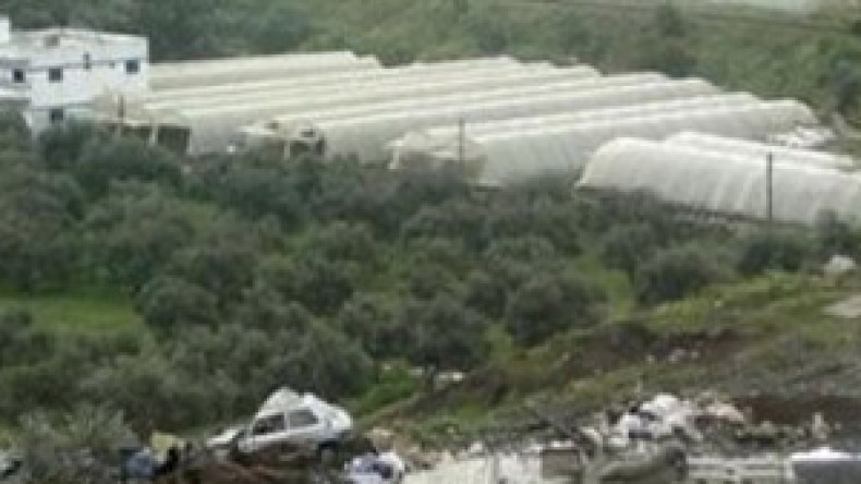 الجيش‭ ‬السوري‭ ‬يقتل‭ ‬الرافضين‭ ‬لطلق‭ ‬النار‭ ‬على‭ ‬المدنين‭ ‬ويعيش‭ ‬الانقسام‭ ‬