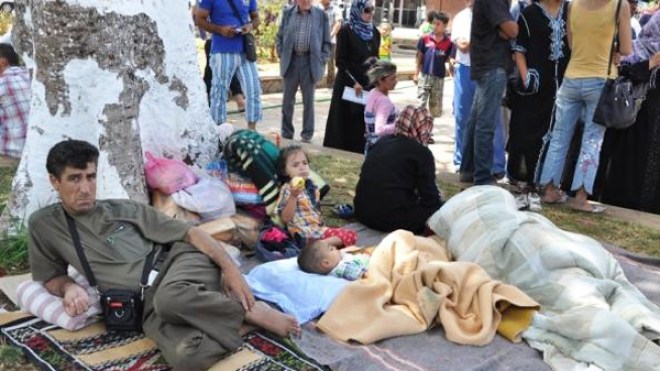 غجر يدفعون 10 ملايين لدخول الجزائر من أجل التسول