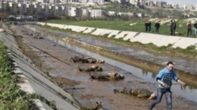 العثور على 20 جثة في “نهر الشهداء” بمدينة حلب السورية