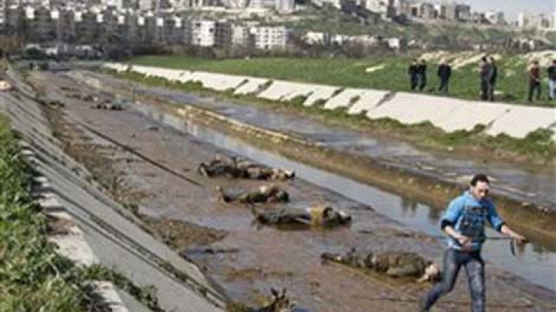 العثور على 20 جثة في “نهر الشهداء” بمدينة حلب السورية