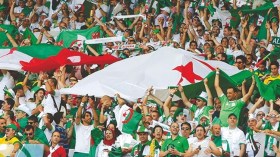 السفير المصري بالجزائر يعد بتسهيل تنقل أنصار الخضر إلى مصر