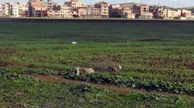 تسوية جزء من عقارات “لاجيرفا” يحدث فتنة بين المستفيدين