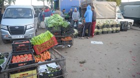 7  مربعات بسوق الخضر والفواكه بالكاليتوس للبيع بالدينار الرمزي!