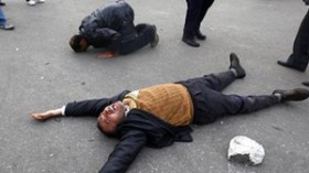 البشر والأرض والشجر في ميدان التحرير يطالبون مبارك بالرحيل